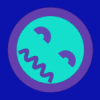 xsa